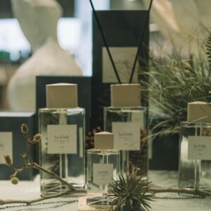 Sophisticated perfume bottles surrounded by organic materials in a chic indoor setting.